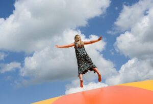 sky zone franchise